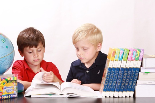 Albion Primary School Image